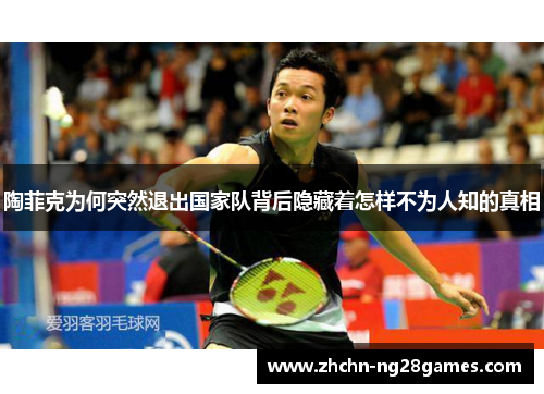 陶菲克为何突然退出国家队背后隐藏着怎样不为人知的真相 陶菲克为何突然退出国家队背后隐藏着怎样不为人知的真相