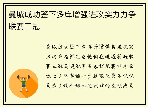 曼城成功签下多库增强进攻实力力争联赛三冠